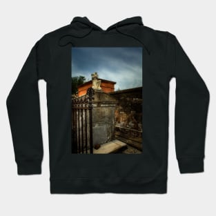 A Fence A Wall and A Headless Angel Hoodie